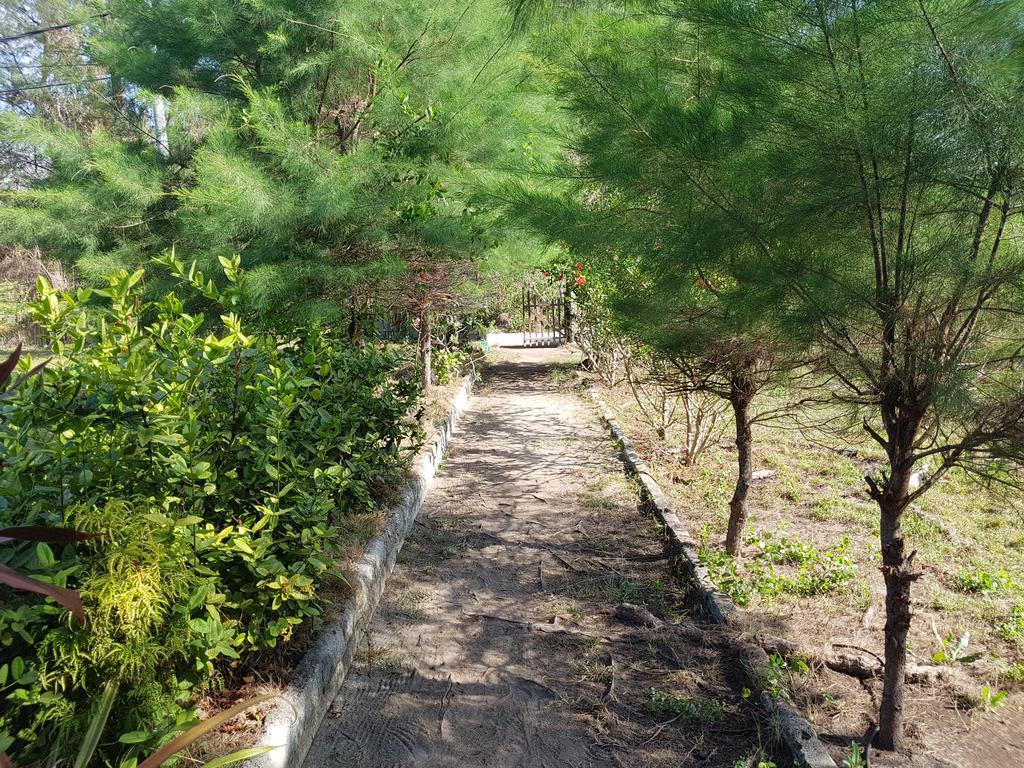 Sasak Island Bungalows Gili Meno Exterior photo